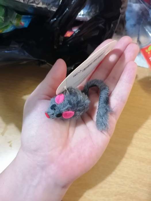 Фотография покупателя товара Игрушка для кошек «Малая мышь меховая», 5 см, искусственный мех, серая - Фото 3