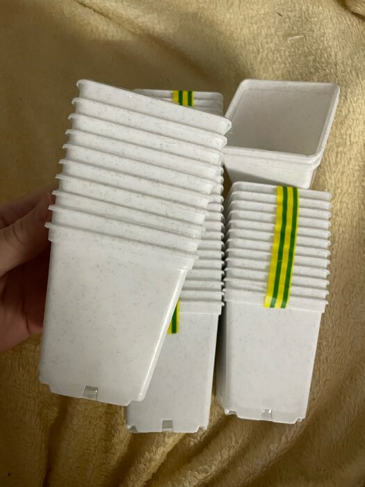 Фотография покупателя товара Горшок для рассады, 500 мл, 9×9×10 см, пластиковый, белый - Фото 10