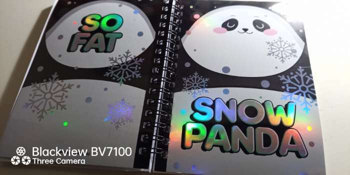 Фотография покупателя товара Подарочный набор: голографический блокнот и обложка Snow panda - Фото 4