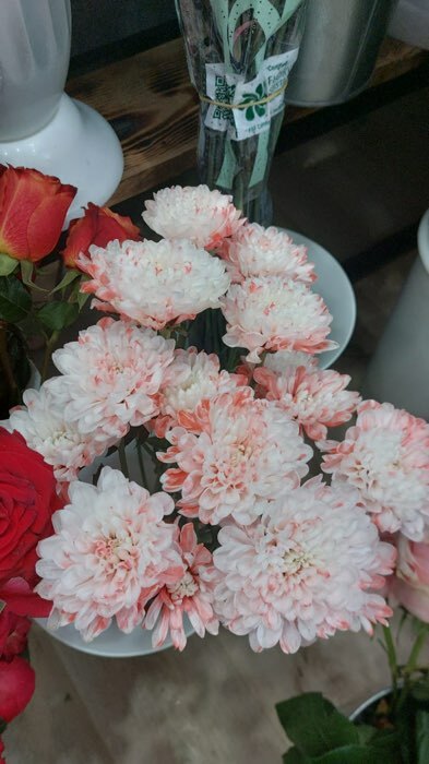 Фотография покупателя товара Краситель флористический, для цветов, розовый, 300 мл - Фото 3