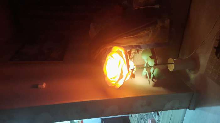 Фотография покупателя товара Шнур сетевой с выключателем для бра, 1,5 м, ШВВП 2 х 0.5 мм2, белый - Фото 1