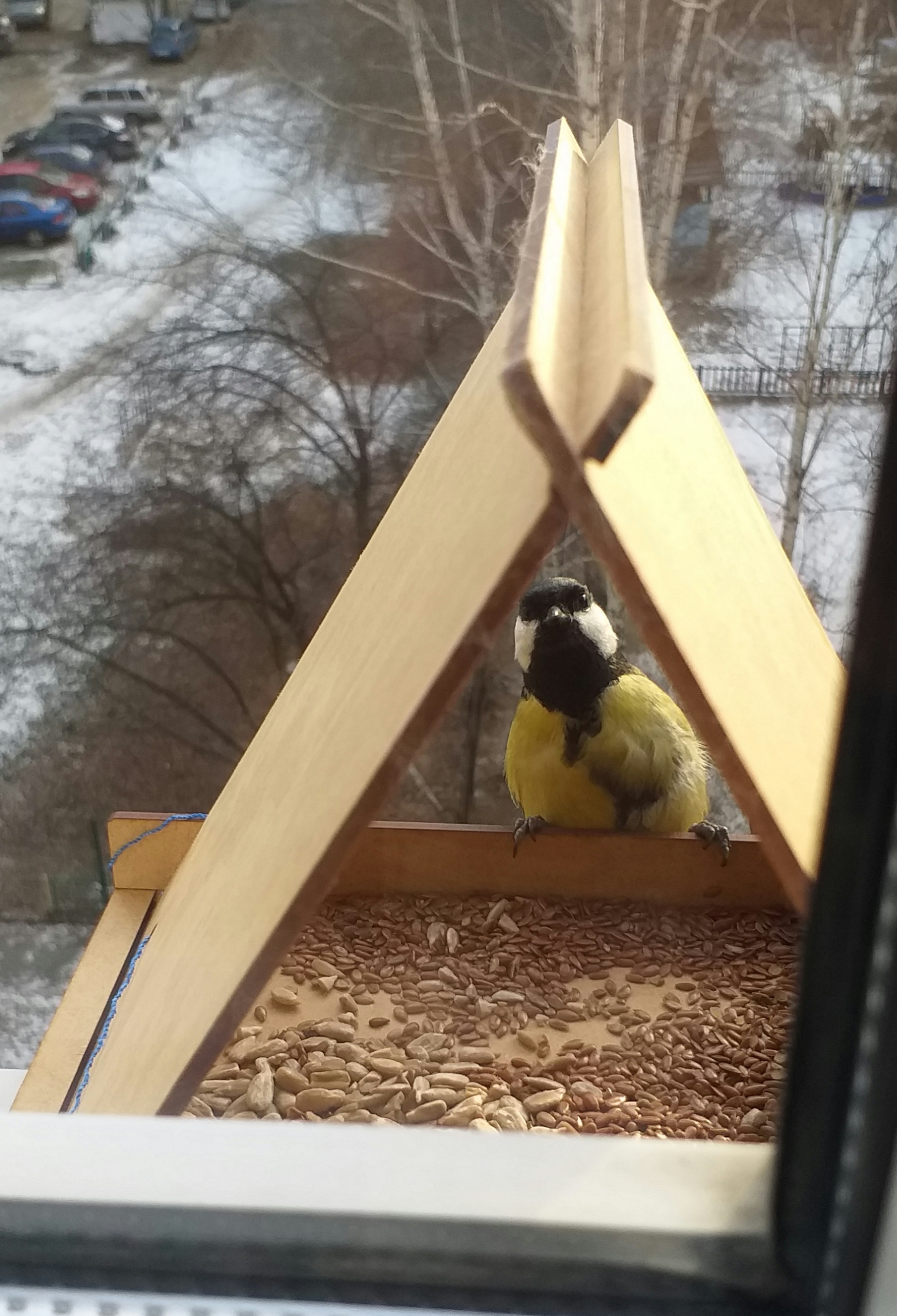 Фотография покупателя товара Кормушка - конструктор из ХДФ для птиц «Терция», своими руками, 16×18×23 см, Greengo - Фото 8