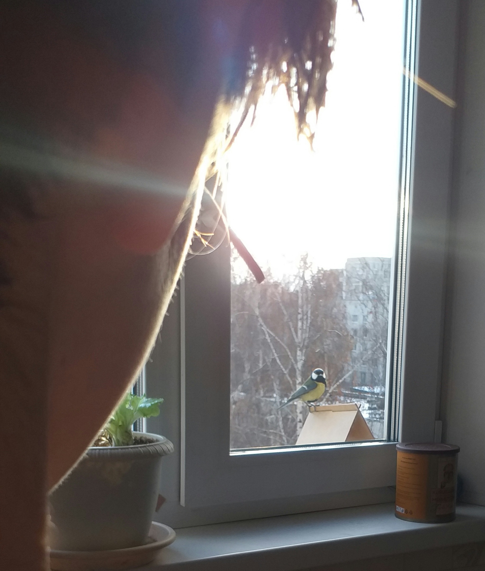 Фотография покупателя товара Кормушка - конструктор из ХДФ для птиц «Терция», своими руками, 16×18×23 см, Greengo - Фото 6