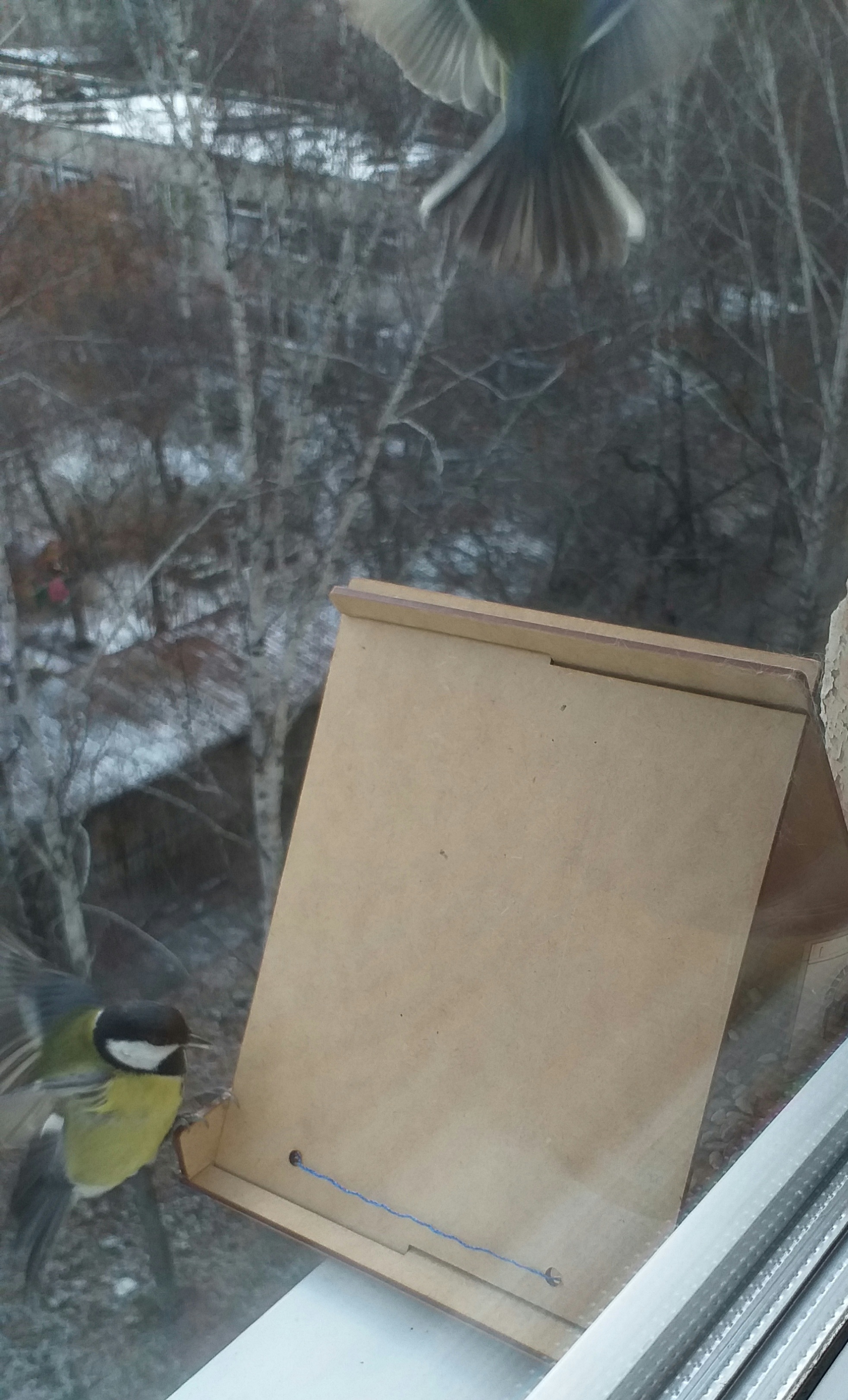 Фотография покупателя товара Кормушка - конструктор из ХДФ для птиц «Терция», своими руками, 16×18×23 см, Greengo - Фото 7