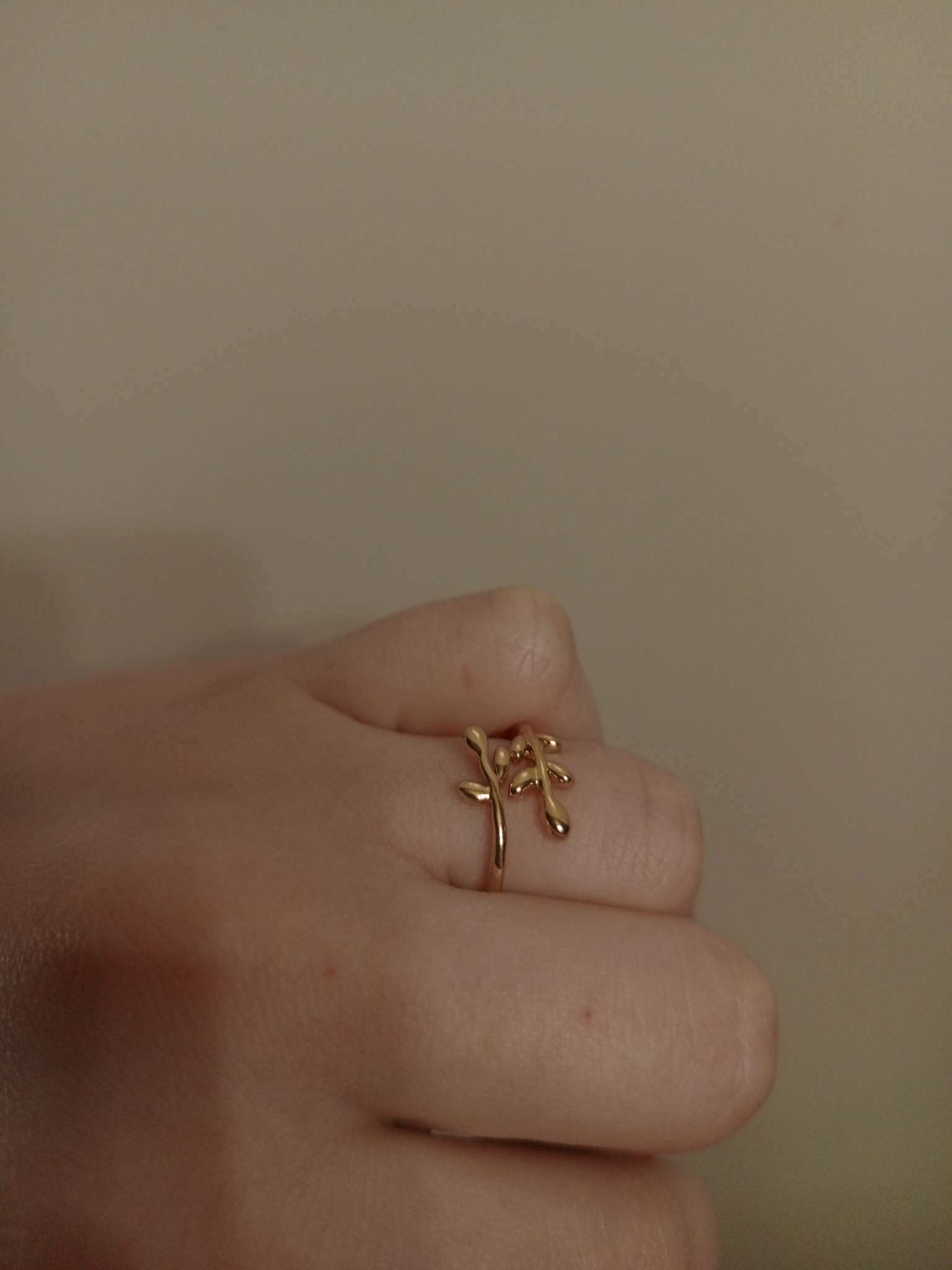 Фотография покупателя товара Кольцо безразмерное «Ветви», цвет серебро - Фото 2