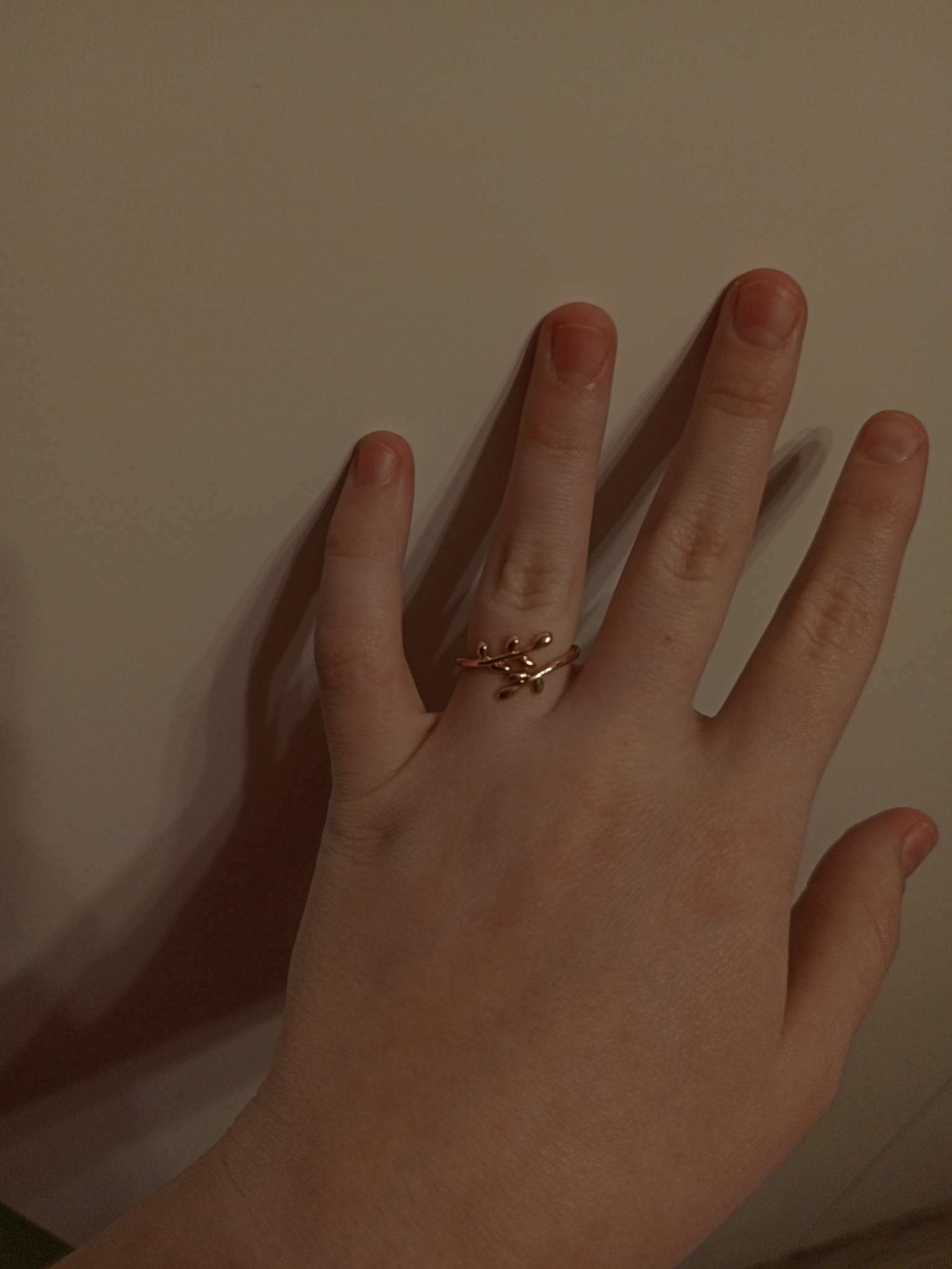 Фотография покупателя товара Кольцо безразмерное «Ветви», цвет серебро - Фото 5