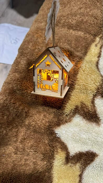 Фотография покупателя товара Ёлочная игрушка «Домик с оленем», от батареек, свечение тёплое белое - Фото 1