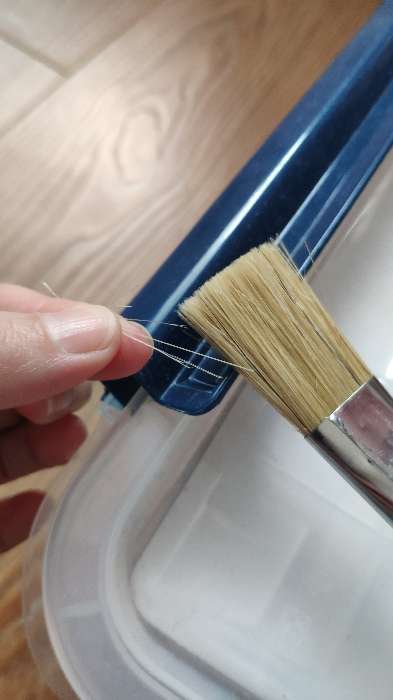Фотография покупателя товара Кисть Щетина плоская №24 (ширина обоймы 24 мм; длина волоса 35 мм), деревянная ручка, Calligrata