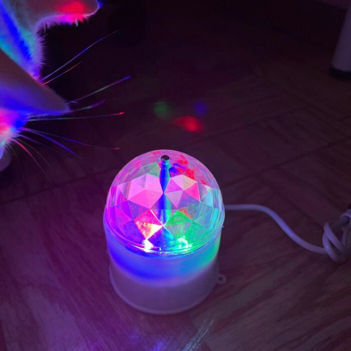 Фотография покупателя товара Световой прибор «Хрустальный шар» 7.5 см, свечение RGB, 220 В, белый - Фото 20