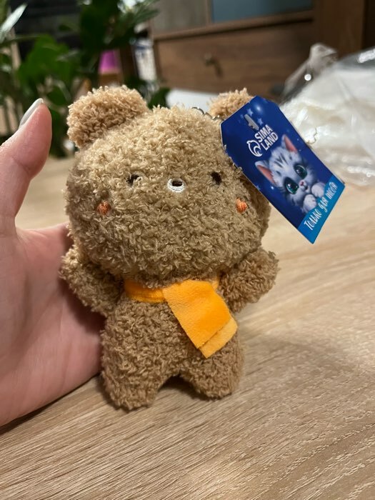 Фотография покупателя товара Мягкая игрушка «Медведь», на брелоке, размер 14 см, цвет коричневый - Фото 2