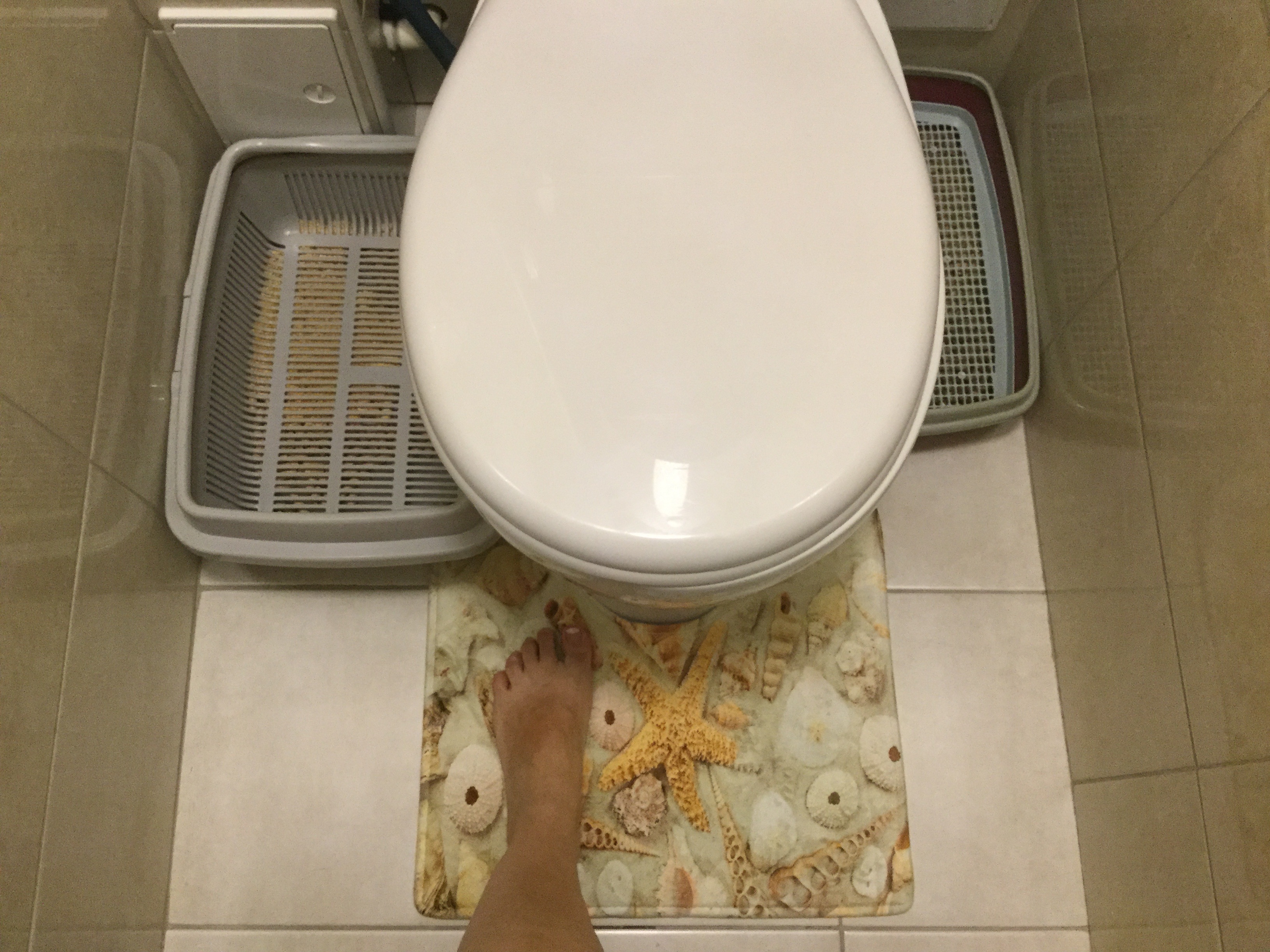 Фотография покупателя товара Набор ковриков для ванной и туалета Доляна «Ракушки», 2 шт, 45×36 см, 75×44 см - Фото 3