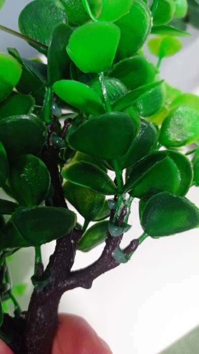 Фотография покупателя товара Растение искусственное аквариумное, 18×11×21.5 см - Фото 3