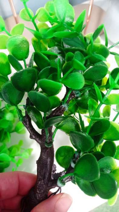 Фотография покупателя товара Растение искусственное аквариумное, 18×11×21.5 см - Фото 1