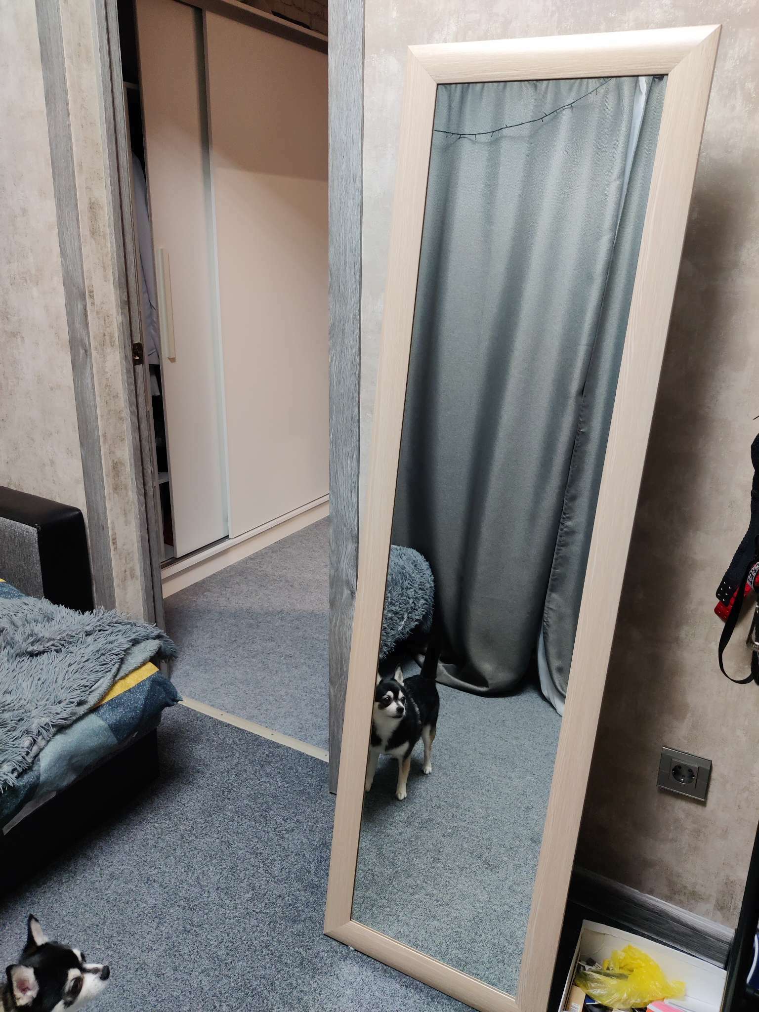 Фотография покупателя товара Зеркало напольное, 45×160 см, рама МДФ 55 мм, цвет дуб - Фото 1