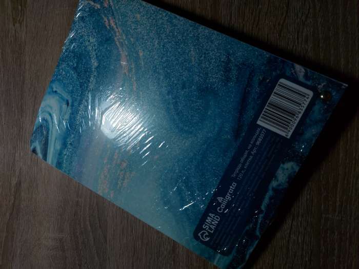 Фотография покупателя товара Тетрадь на кольцах, в клетку, 120 листов "Мрамор синий", пластиковая обложка, блок офсет - Фото 5