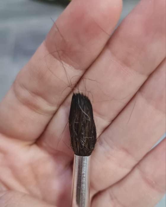 Фотография покупателя товара Кисть Пони круглая № 5 (диаметр обоймы 5 мм; длина волоса 20 мм), деревянная ручка, Calligrata