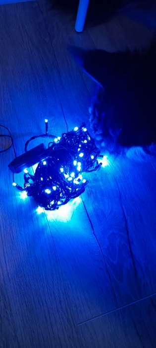 Фотография покупателя товара Гирлянда «Нить» 20 м, IP20, тёмная нить, 200 LED, свечение синее, 8 режимов, 220 В - Фото 4