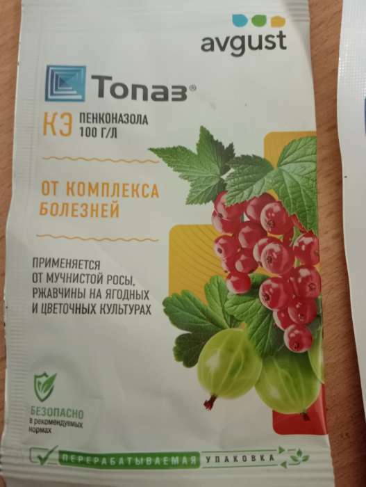 Фотография покупателя товара Средство от болезней растений "Август", "Топаз", ампула в пакете, 2 мл - Фото 2