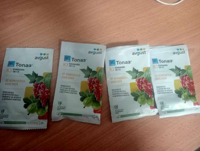 Фотография покупателя товара Средство от болезней растений "Август", "Топаз", ампула в пакете, 2 мл