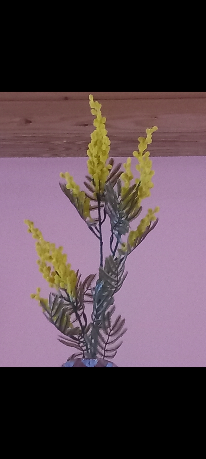 Фотография покупателя товара Цветы искусственные «Мимоза», h=40 см, жёлтые - Фото 5