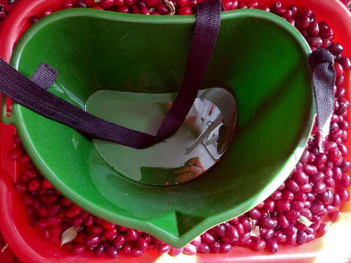 Фотография покупателя товара Ёмкость для сбора ягод, 3 л, тёмно-зелёная - Фото 13