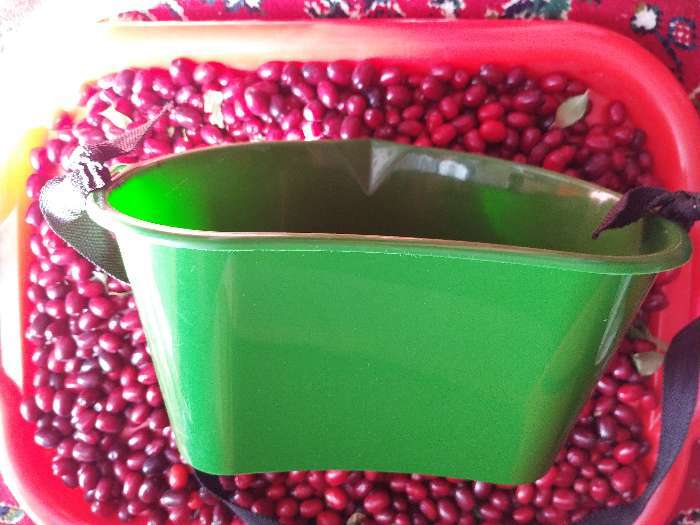 Фотография покупателя товара Ёмкость для сбора ягод, 3 л, тёмно-зелёная - Фото 11