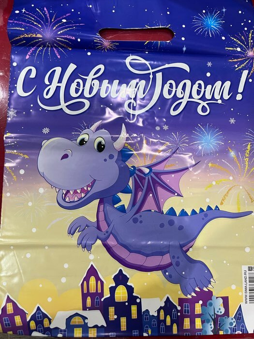 Фотография покупателя товара Пакет «Дед Мороз и Снегурочка», полиэтиленовый с вырубной ручкой, 31×40 см - Фото 20