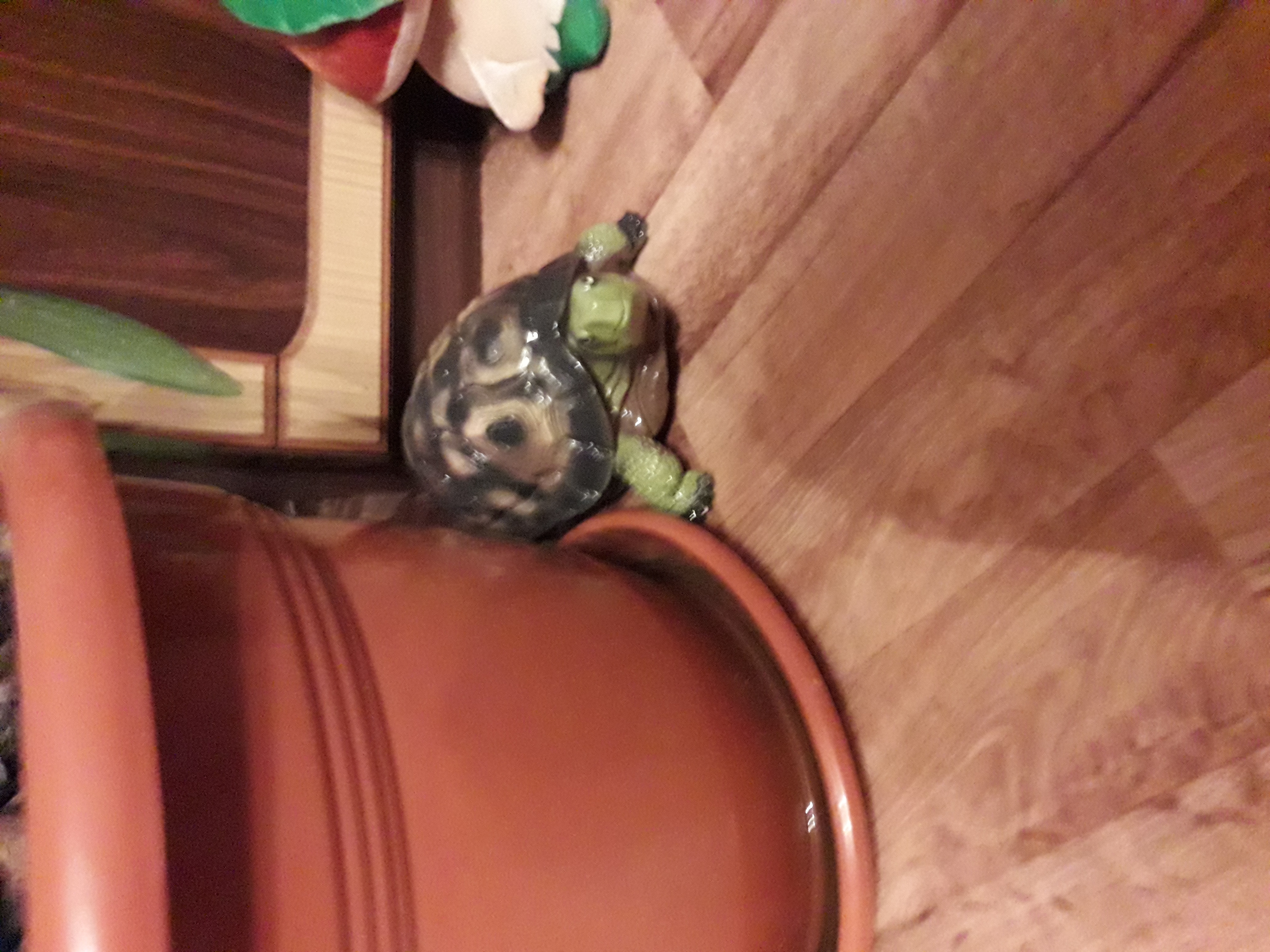 Фотография покупателя товара Копилка "Черепаха", глянец, зелёная, гипс, 31 см - Фото 2