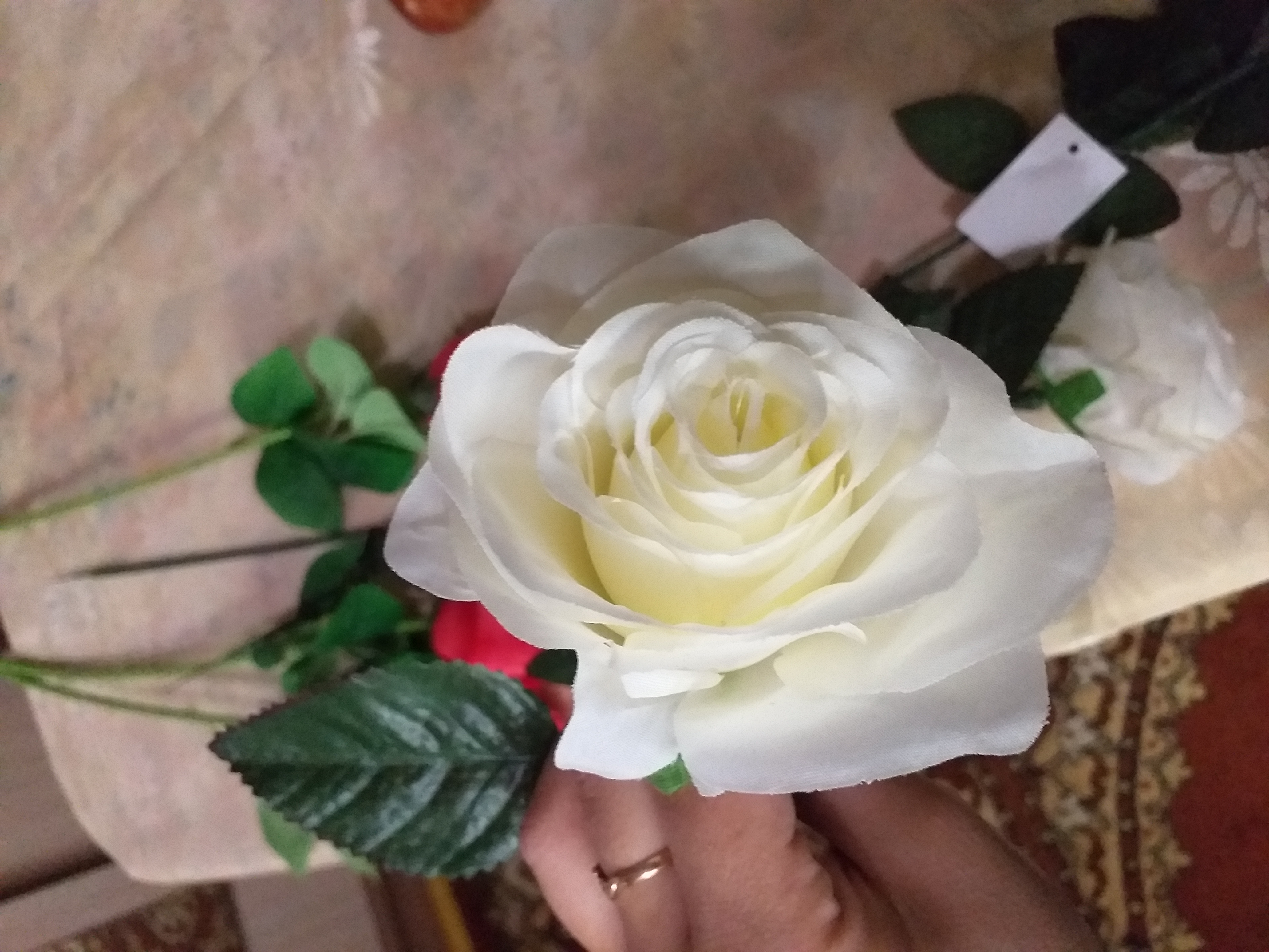 Фотография покупателя товара Цветы искусственные "Роза Глория" 9х60 см, белый - Фото 3
