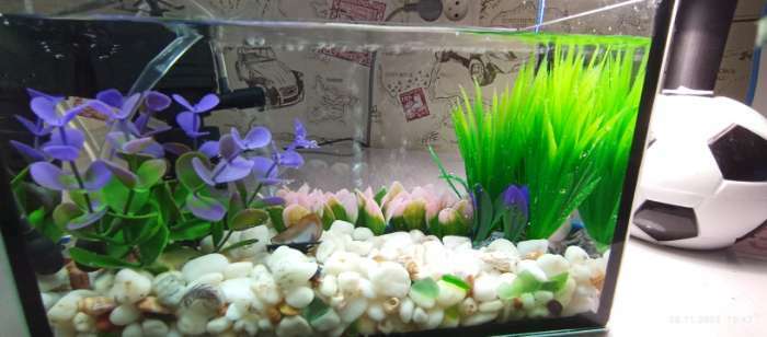 Фотография покупателя товара Растение искусственное аквариумное кустовое, 10 см, фиолетовое - Фото 1