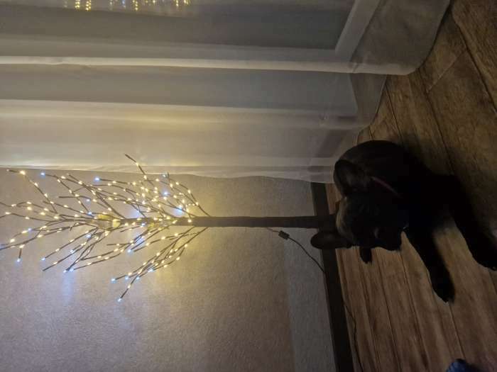 Фотография покупателя товара Светодиодное дерево 1.5 м, 224 LED, мерцание, 220 В, свечение белое - Фото 13