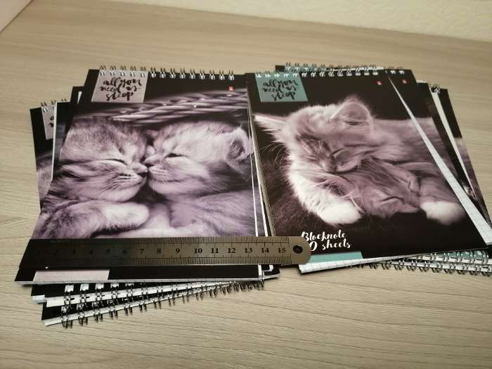 Фотография покупателя товара Блокнот А5, 40 листов на гребне "Кошки", МИКС - Фото 1