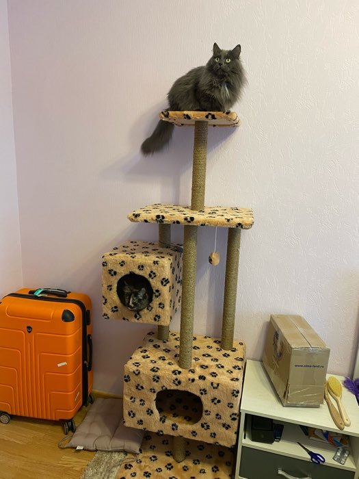 Фотография покупателя товара Домик для кошек с когтеточкой, с площадкой и полкой, 65 х 51 х 173 см, серая с лапкам - Фото 3