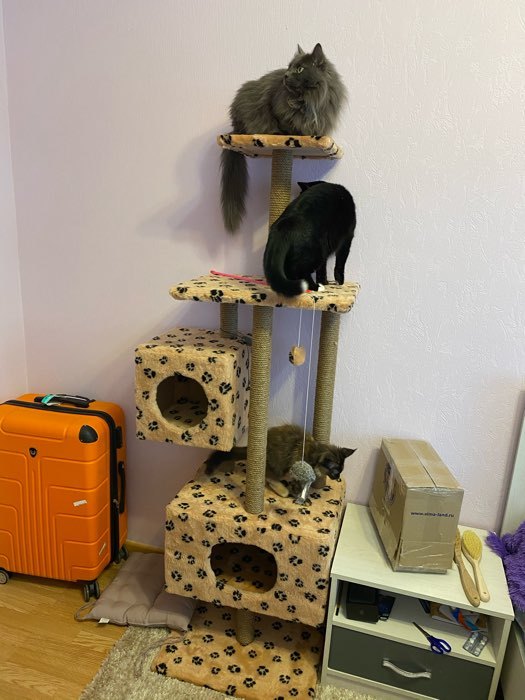 Фотография покупателя товара Домик для кошек с когтеточкой, с площадкой и полкой, 65 х 51 х 173 см, серая с лапкам - Фото 4