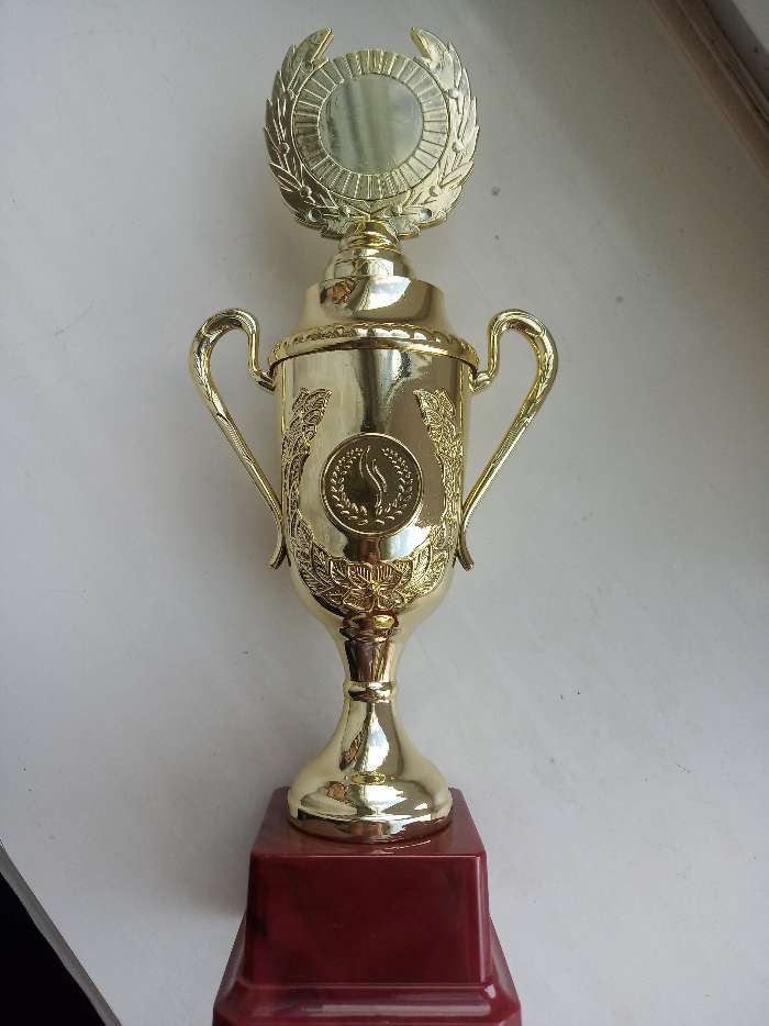 Фотография покупателя товара Кубок 088C, наградная фигура, золото, подставка пластик, 23,5 х 12 х 6,4 см.