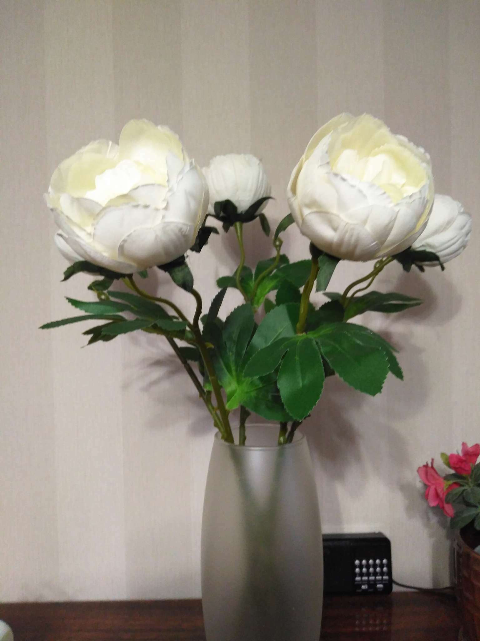 Фотография покупателя товара Цветы искусственные "Пышный пион" 7х47 см, белый - Фото 3