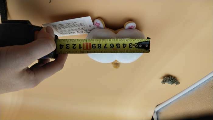 Фотография покупателя товара Мягкая игрушка «Корги», на брелоке, 12 см - Фото 1
