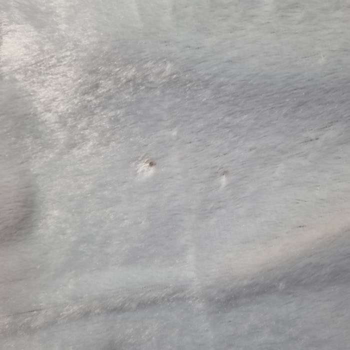 Фотография покупателя товара Лоскут для рукоделия, мех на трикотажной основе, 50 × 50 см, цвет белый - Фото 13