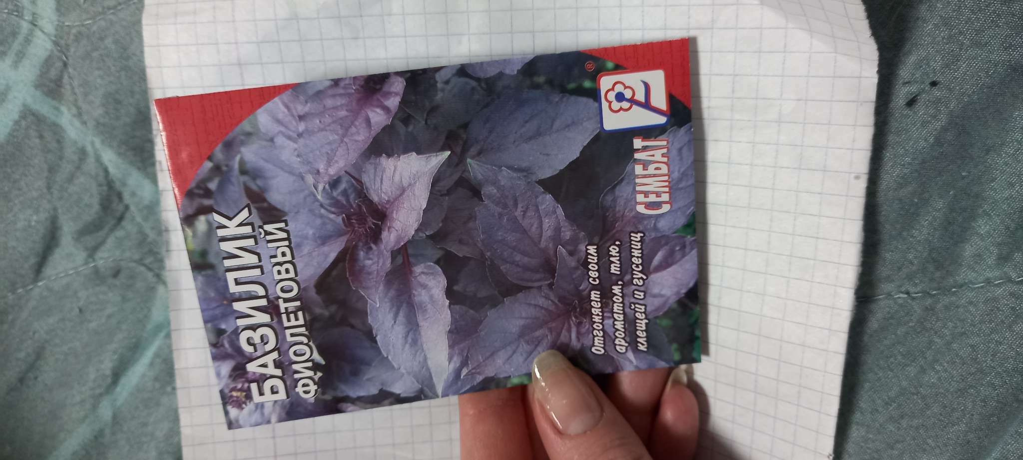 Фотография покупателя товара Семена Базилик фиолетовый Ереванский, 0,2 г - Фото 1