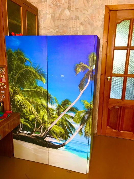 Фотография покупателя товара Ширма "Пальмы на пляже", 150 х 160 см - Фото 1