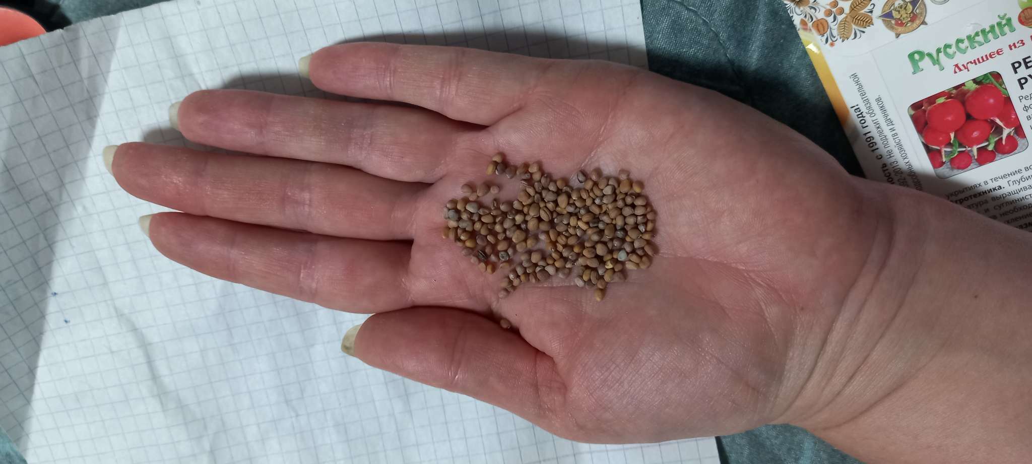 Фотография покупателя товара Семена Редис "Русский размер", 200 шт - Фото 2