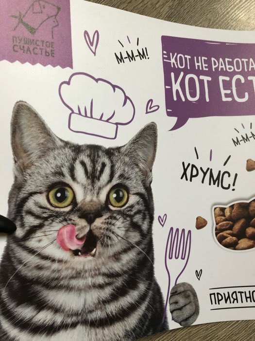 Фотография покупателя товара Коврик под миску «Кот не работает, кот ест!» 43х28 см - Фото 11