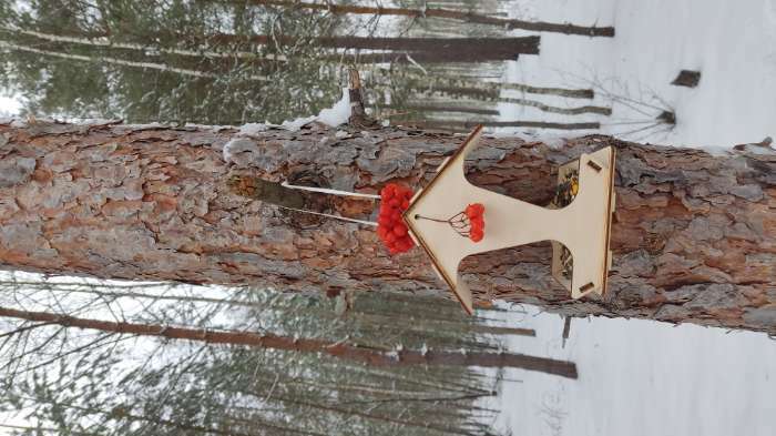 Фотография покупателя товара Кормушка для птиц, 17×10.5×15.5 см, Greengo - Фото 1