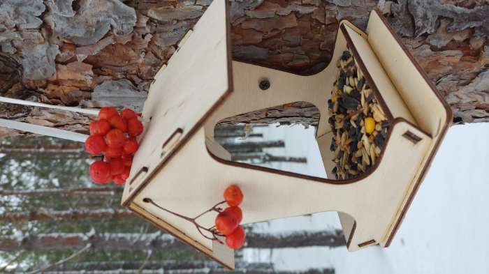 Фотография покупателя товара Кормушка для птиц, 17×10.5×15.5 см, Greengo - Фото 2