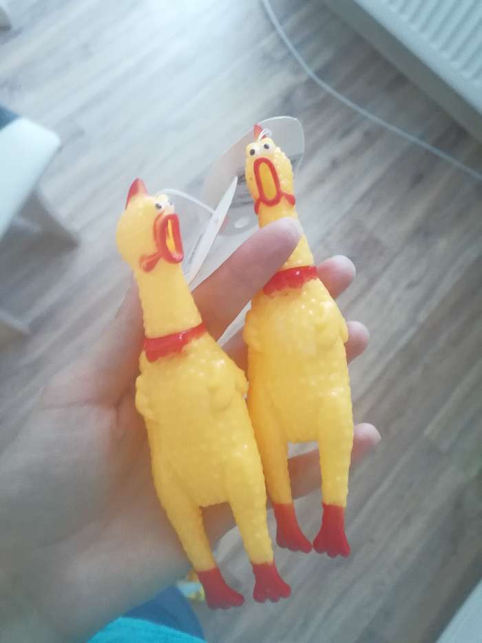 Фотография покупателя товара Игрушка пищащая "Задумчивая курица" малая, 16,5 см, жёлтая - Фото 13