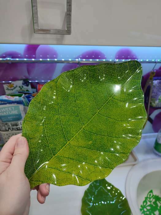 Фотография покупателя товара Блюдо стеклянное сервировочное Доляна «Лист», 31×19 см, цвет зелёный - Фото 2
