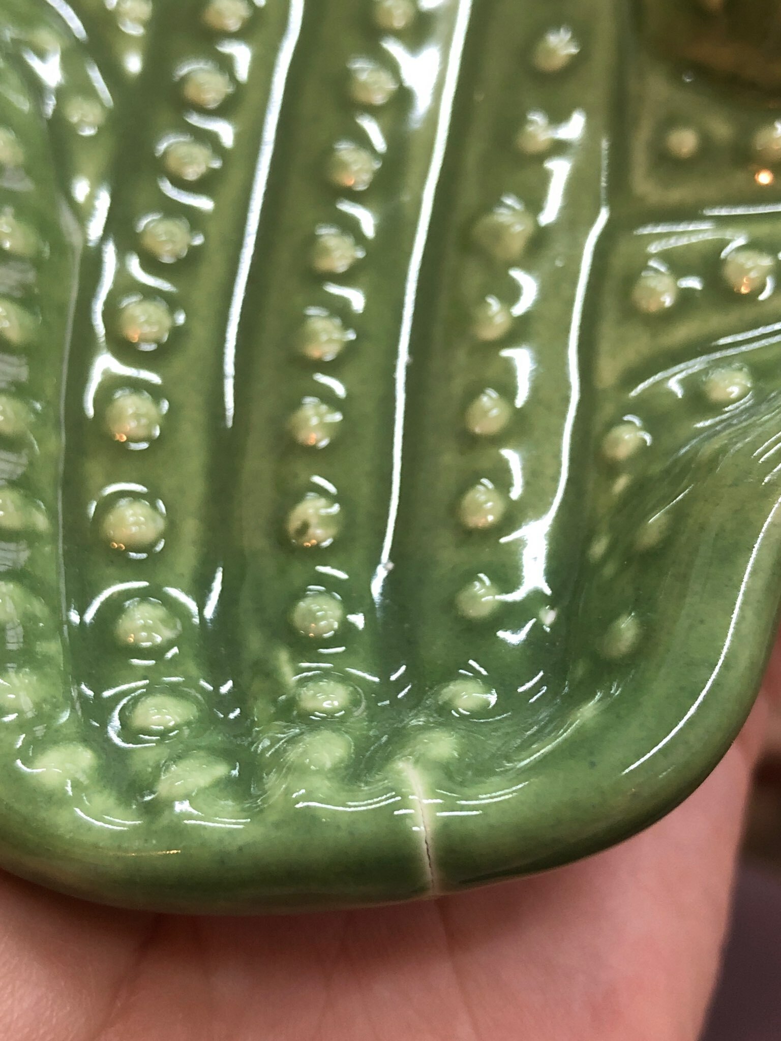 Фотография покупателя товара Блюдо керамическое «Кактус»,15,5×10×12 см, цвет зелёный - Фото 7