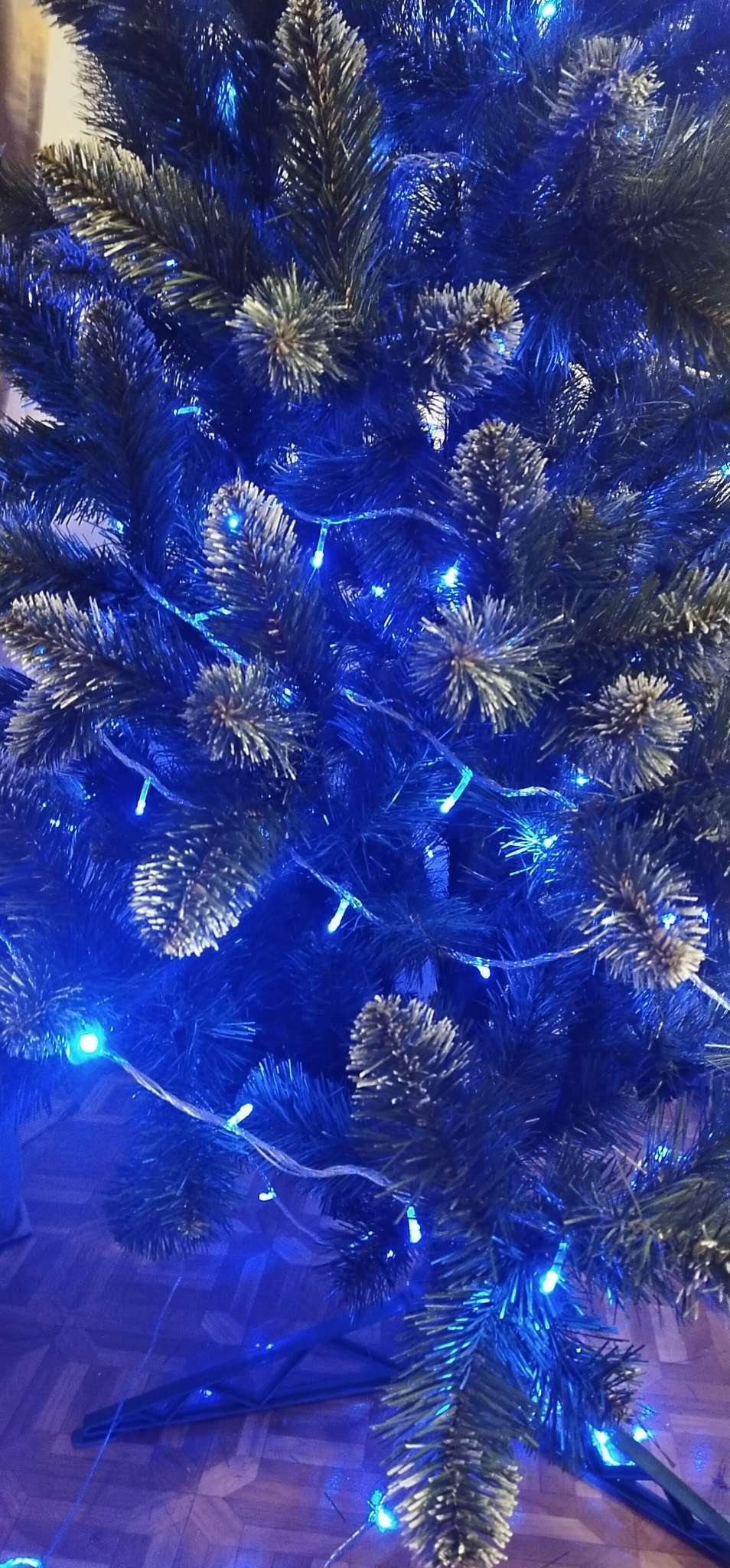 Фотография покупателя товара Гирлянда «Нить» 5 м, IP20, тёмная нить, 50 LED, 8 режимов, 220 В, свечение красное - Фото 86