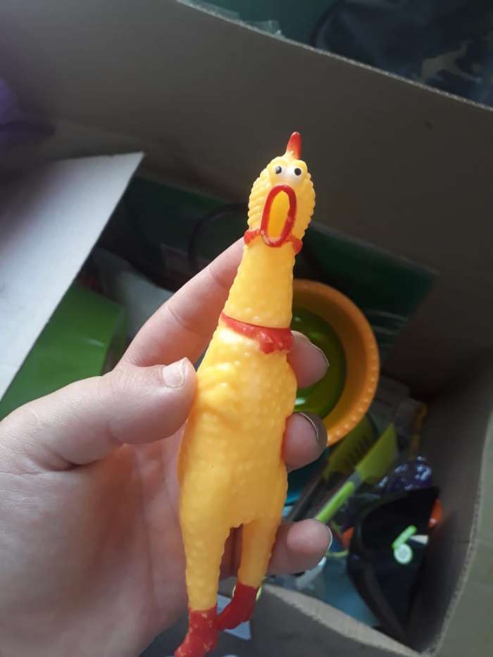 Фотография покупателя товара Игрушка пищащая "Задумчивая курица" малая, 16,5 см, жёлтая - Фото 11