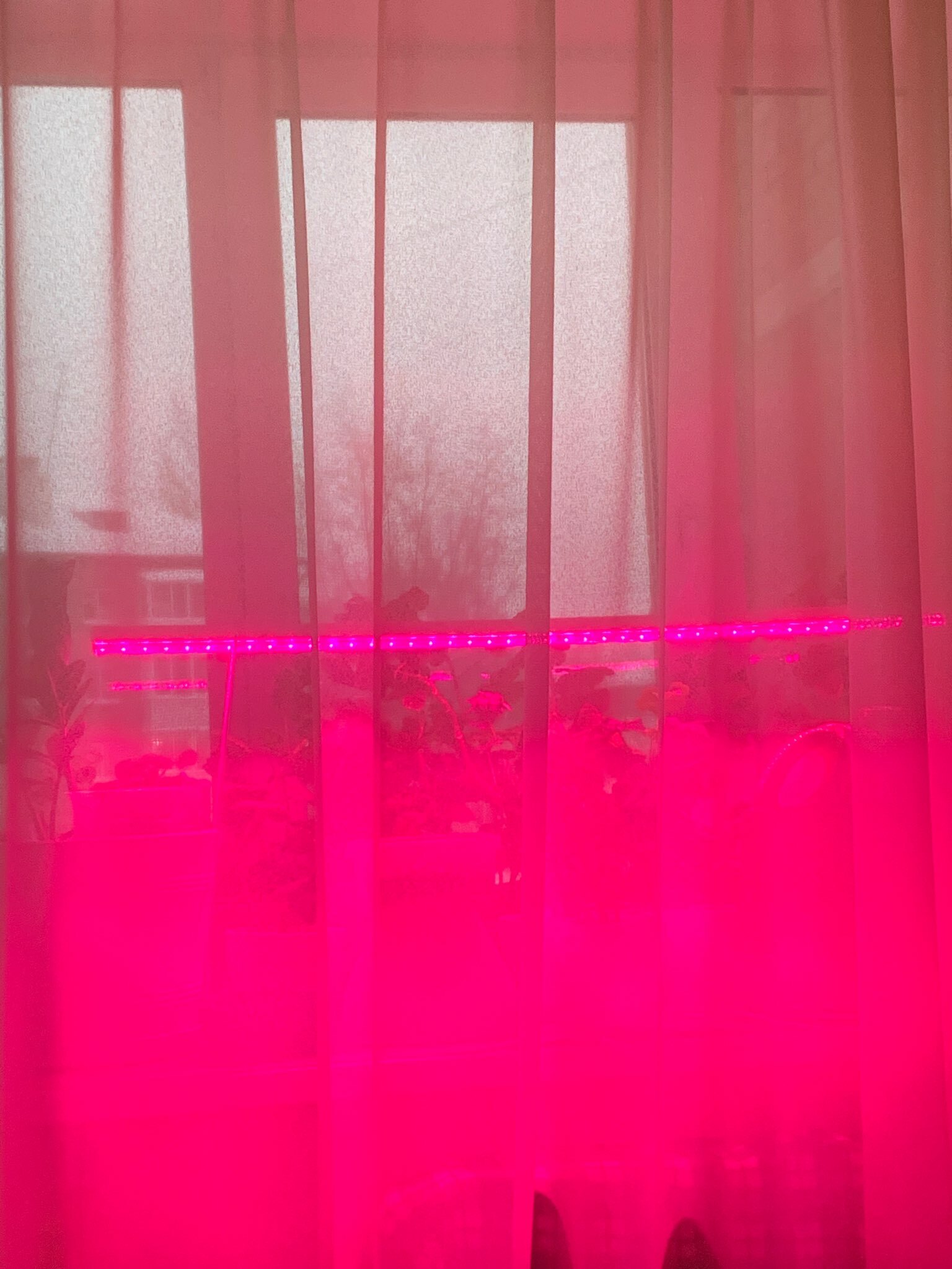 Фотография покупателя товара Фитосветильник светодиодный, 20 Вт, 1170 мм, IP20, полный спектр, фиолетовый, СПБ-Т5-ФИТО, IN HOME - Фото 2